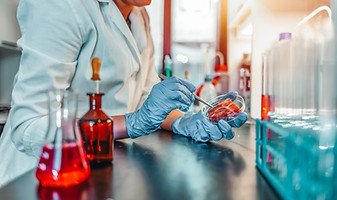 Carne cultivada en laboratorio